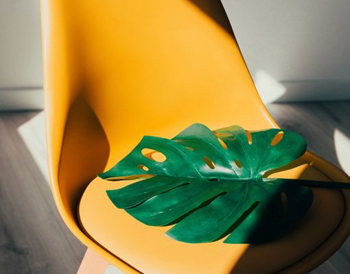 Developing a Super-Fast Project with Angular JS